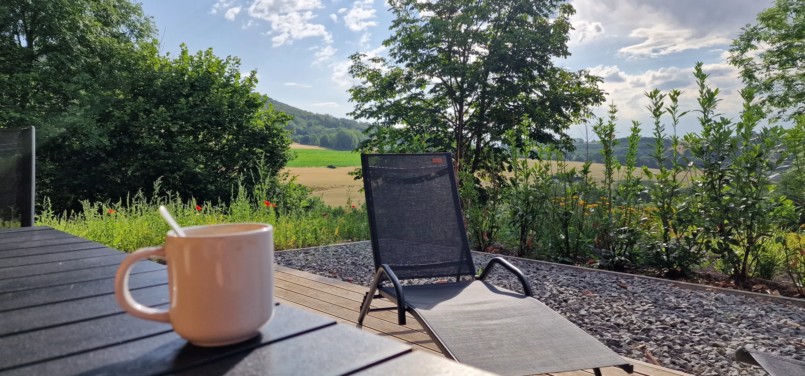 20230708_090548-scaled