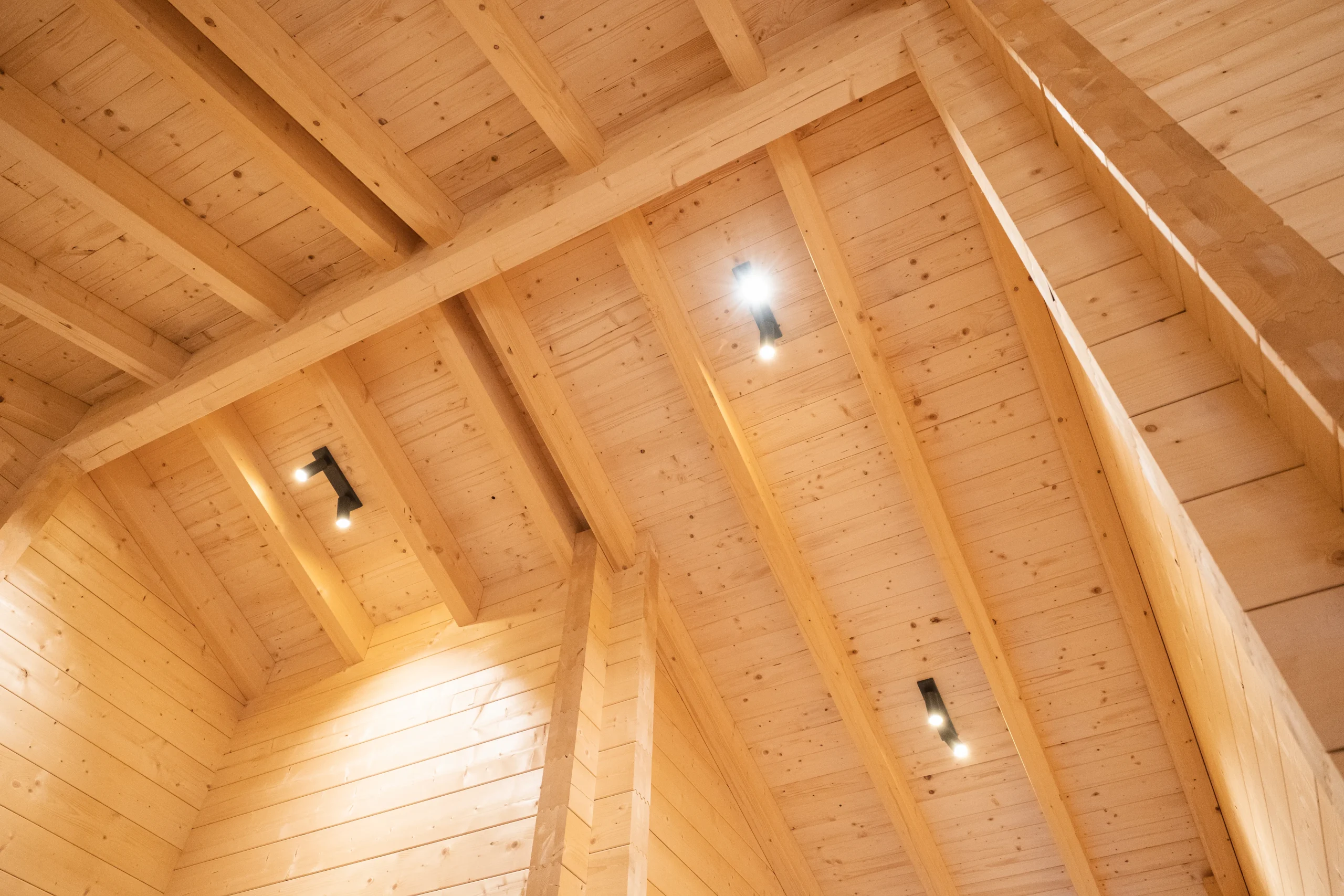 netten-naturerlebnis_joscha-26